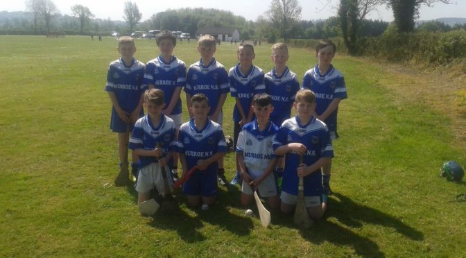 East Limerick Cumann na mBunscoil Boys Hurling