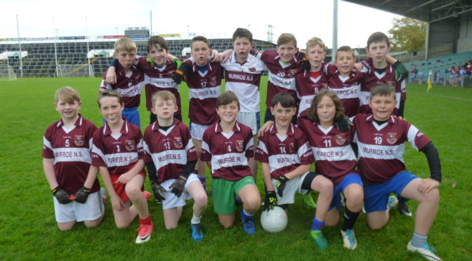 Cumann na mBunscol East Limerick 9-a-side Boys’ Gaelic Football Final