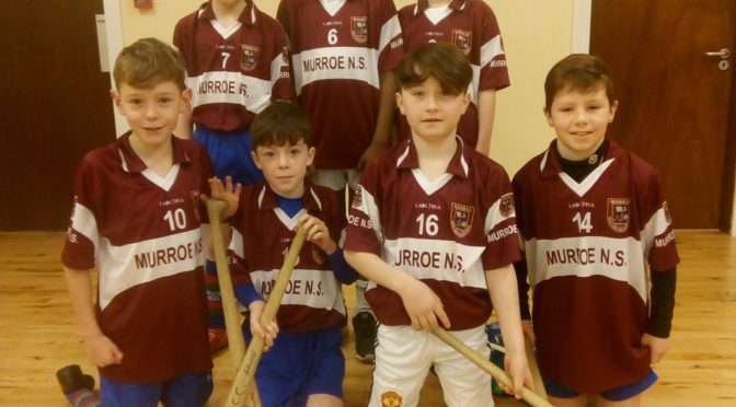 5-a-side Indoor Hurling Blitz