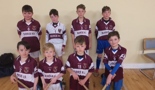 5-a-side Indoor Hurling